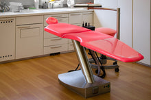 Load image into Gallery viewer, Wellness Chair
